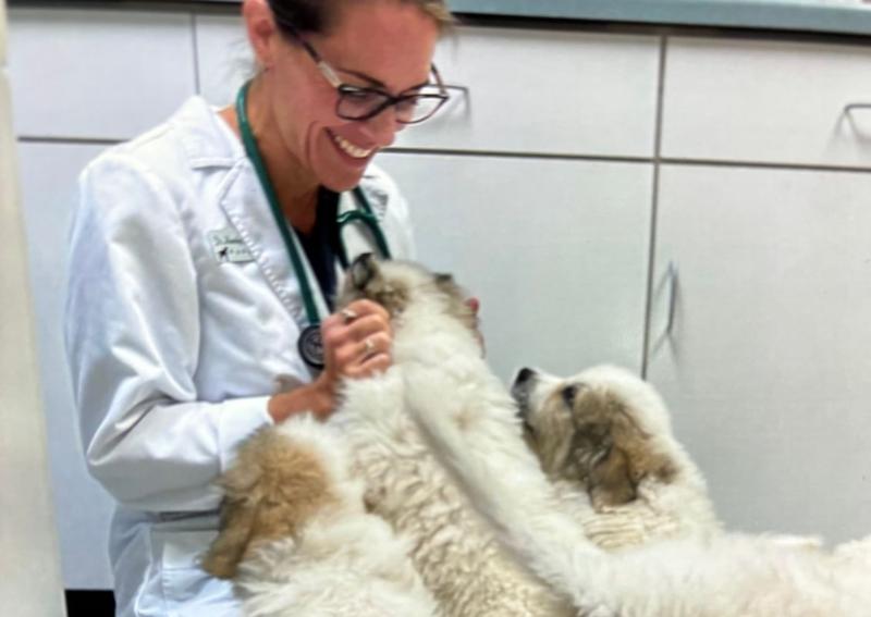 to Riverside Animal Hospital!